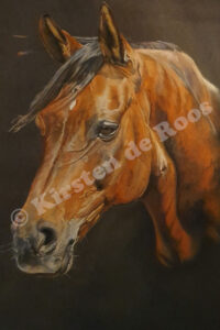Perdita 50X70 31 oktober 2022